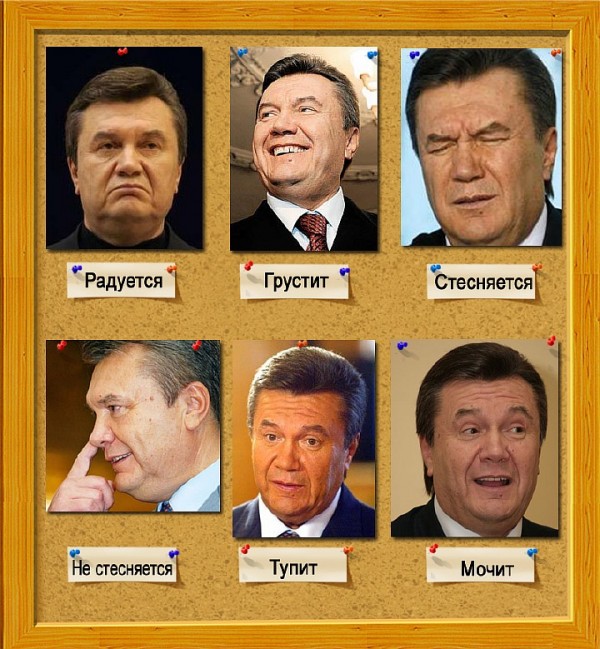 Janukowitsch Ex-Oppositionsführer und nun Präsident